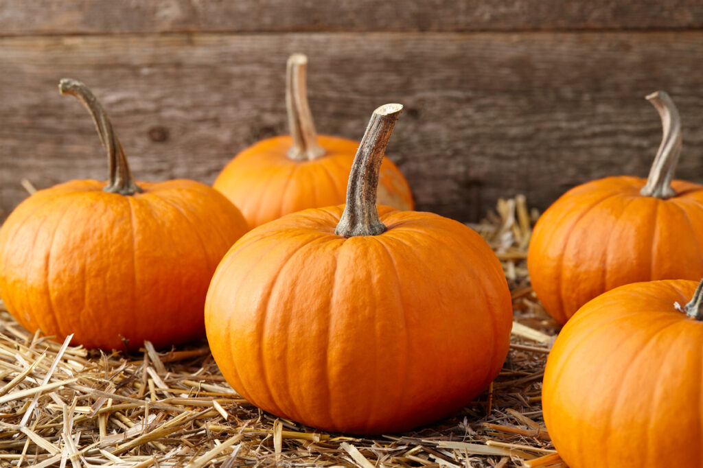 The benefits of pumpkins